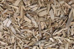 biomass boilers Mains Of Gray