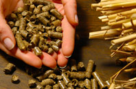 free Mains Of Gray biomass boiler quotes